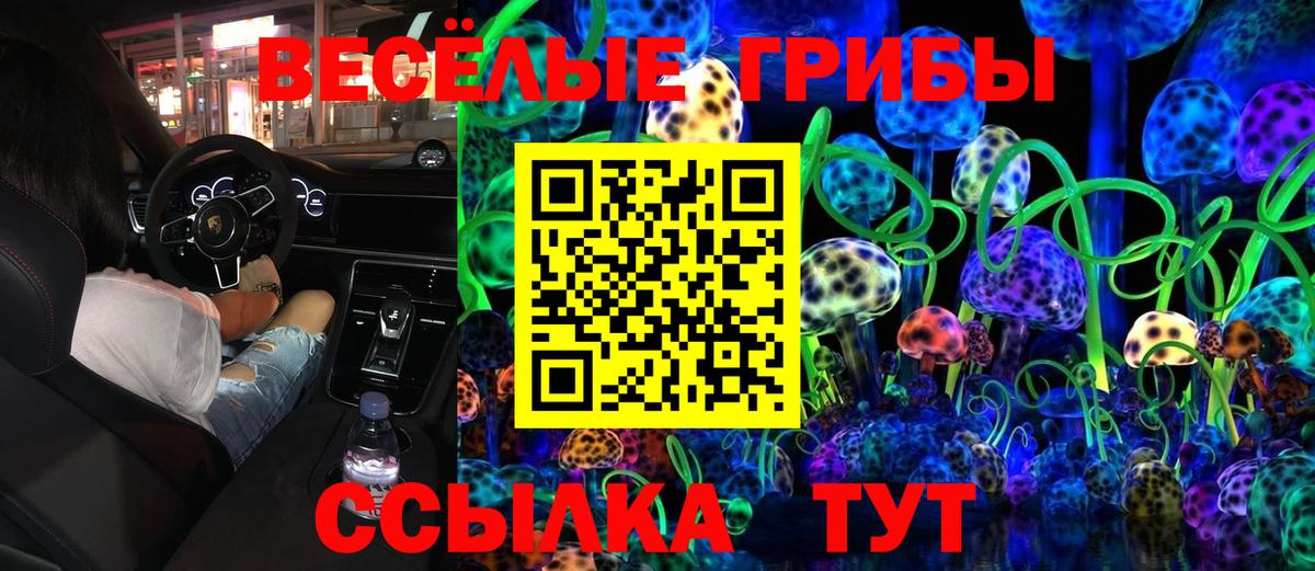 Псилоцибиновые грибы Psilocybine cubensis Краснокаменск